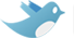 Twitter_follow_icon